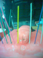 image_00010.jpg