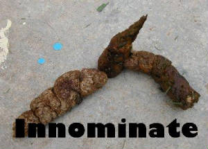 innominate.jpg